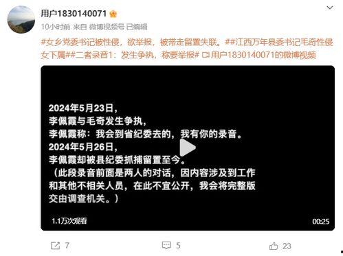 最新爆料李长柳视频,深度解析事件背后真相